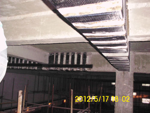 临沂罗欣药业车间改造加固工程